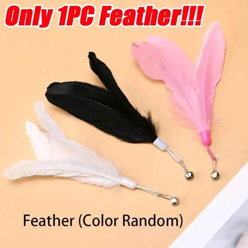 Cat Teaser Toy
