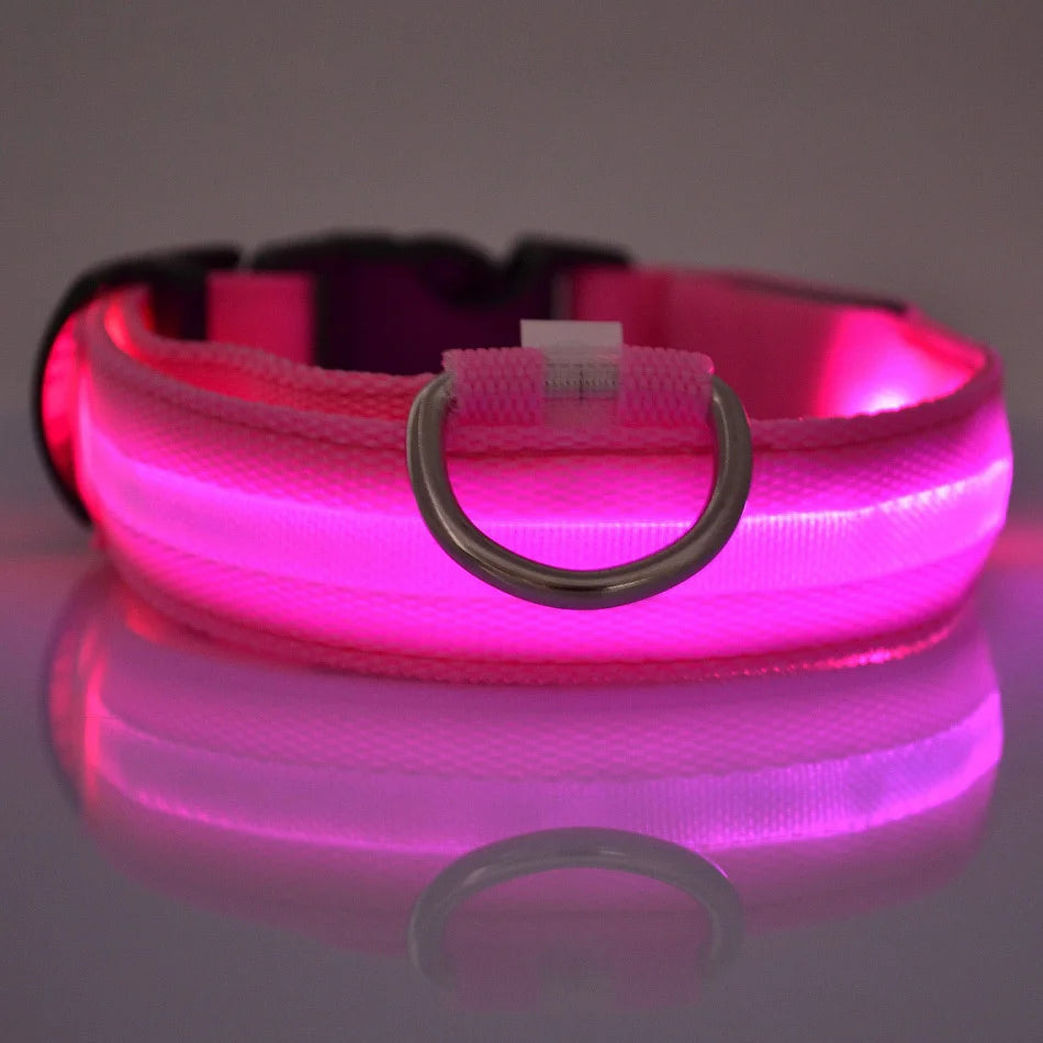 Nylon LED Luminous Fluorescent Pet Dog Collar