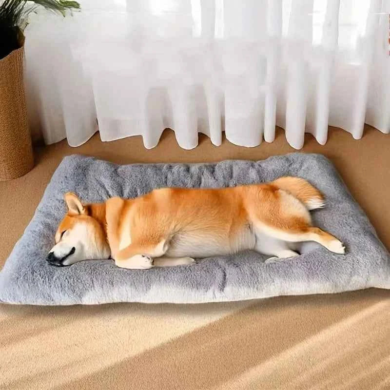 Thickened Super Soft Plush Mat