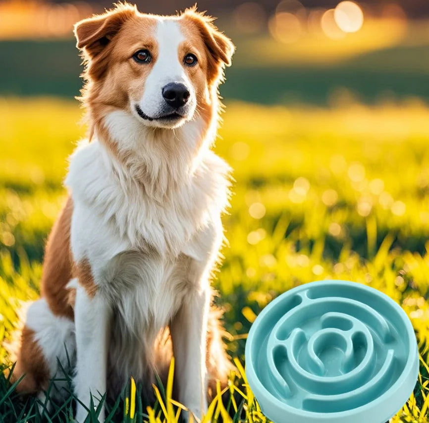 Non-Slip Slow Feeder Dog Bowl