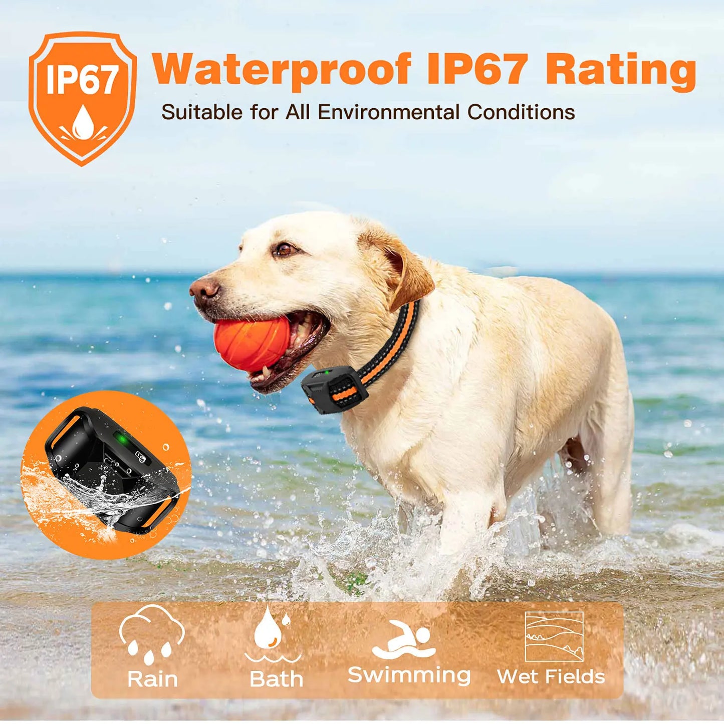Electric Remote Control Waterproof Training Dog Collar
