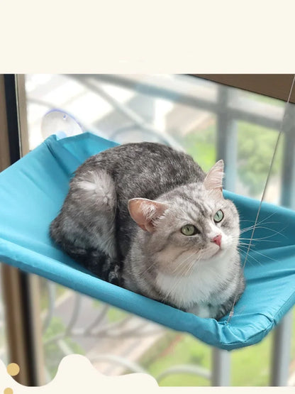 Hanging Cat Hammock Bed