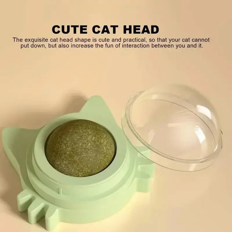 Catnip Ball Cat Toys