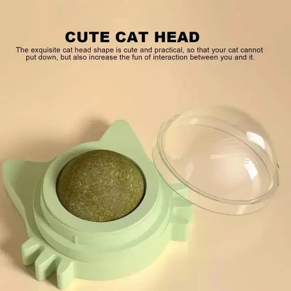 Catnip Ball Cat Toys