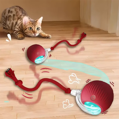 Automatically Teasing Cat Ball