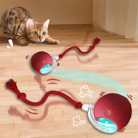Automatically Teasing Cat Ball
