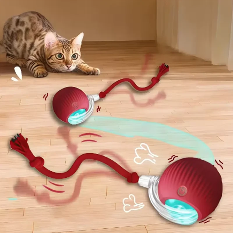 Automatically Teasing Cat Ball