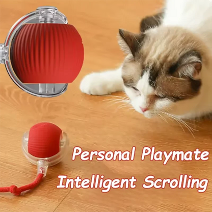 Automatically Teasing Cat Ball