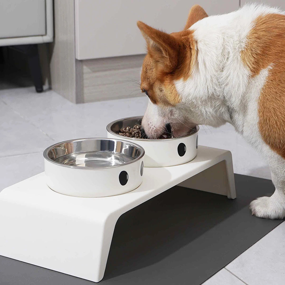 Raised Stand with Double Stainless Steel Bowls