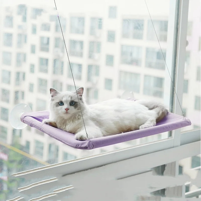 Hanging Cat Hammock Bed