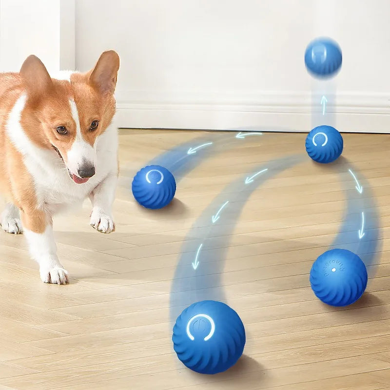 USB Rechargeable Automatic Moving Dog Toy Ball