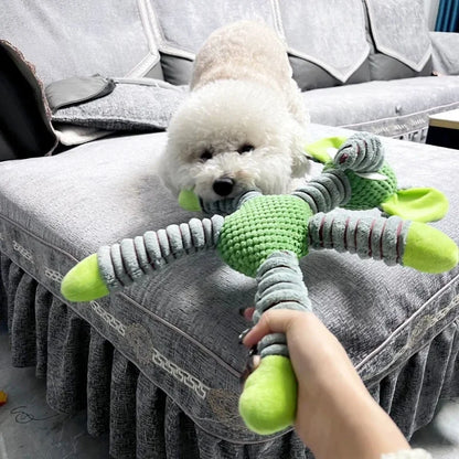 Animal Shape Chew & Dental Training Toy