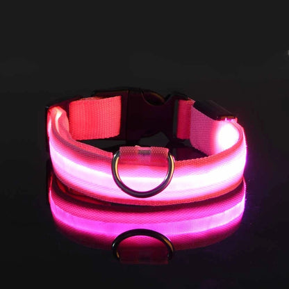 Nylon LED Luminous Fluorescent Pet Dog Collar
