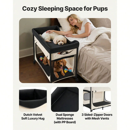 Elevated Dog Bed for Large Dogs