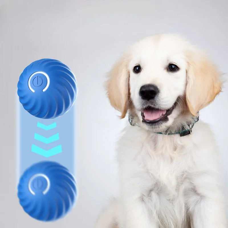 USB Rechargeable Automatic Moving Dog Toy Ball