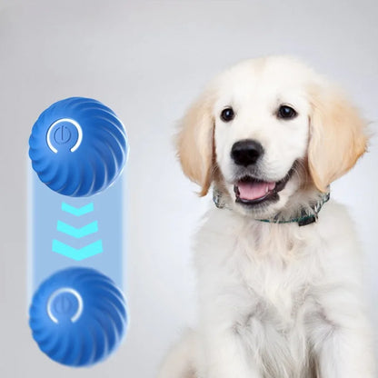 USB Rechargeable Automatic Moving Dog Toy Ball