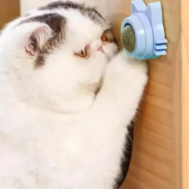 Catnip Ball Cat Toys