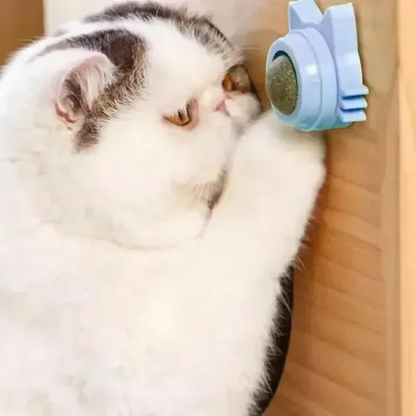Catnip Ball Cat Toys