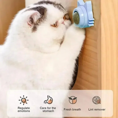 Catnip Ball Cat Toys