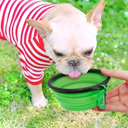 Portable Silicone Food & Water Bowl for Pets