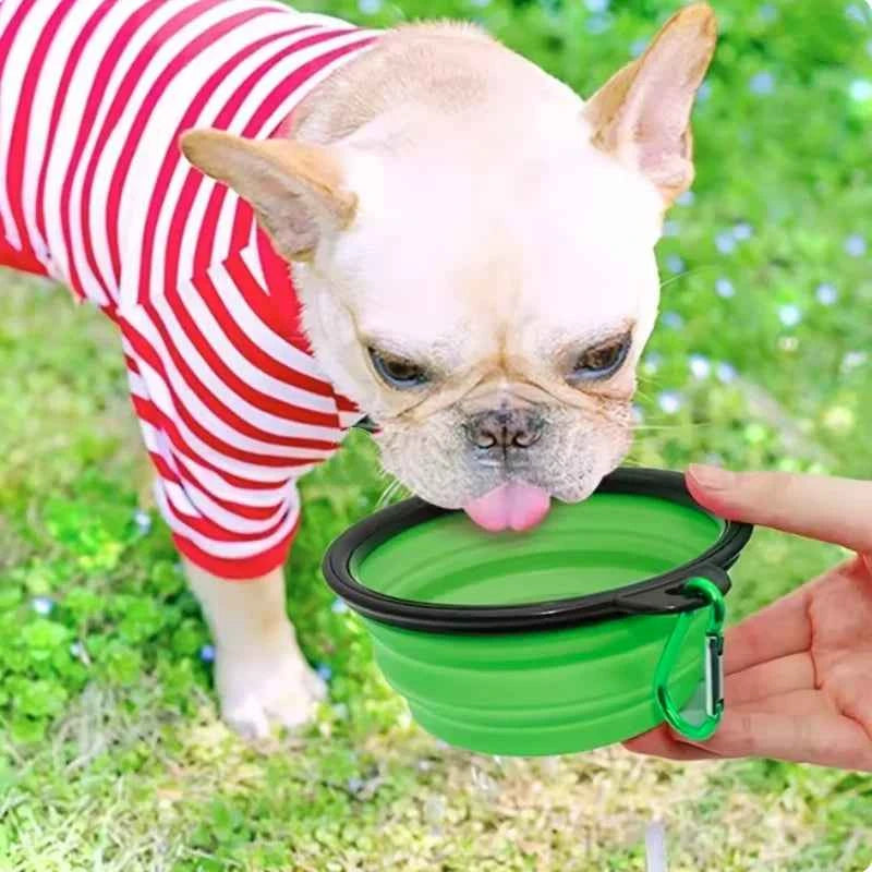 Portable Silicone Food & Water Bowl for Pets
