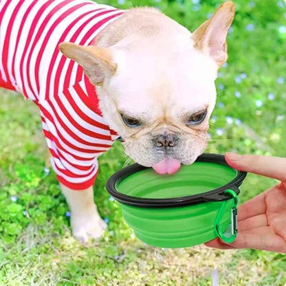 Portable Silicone Food & Water Bowl for Pets