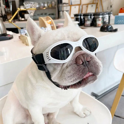 Foldable Pet Dog Goggles
