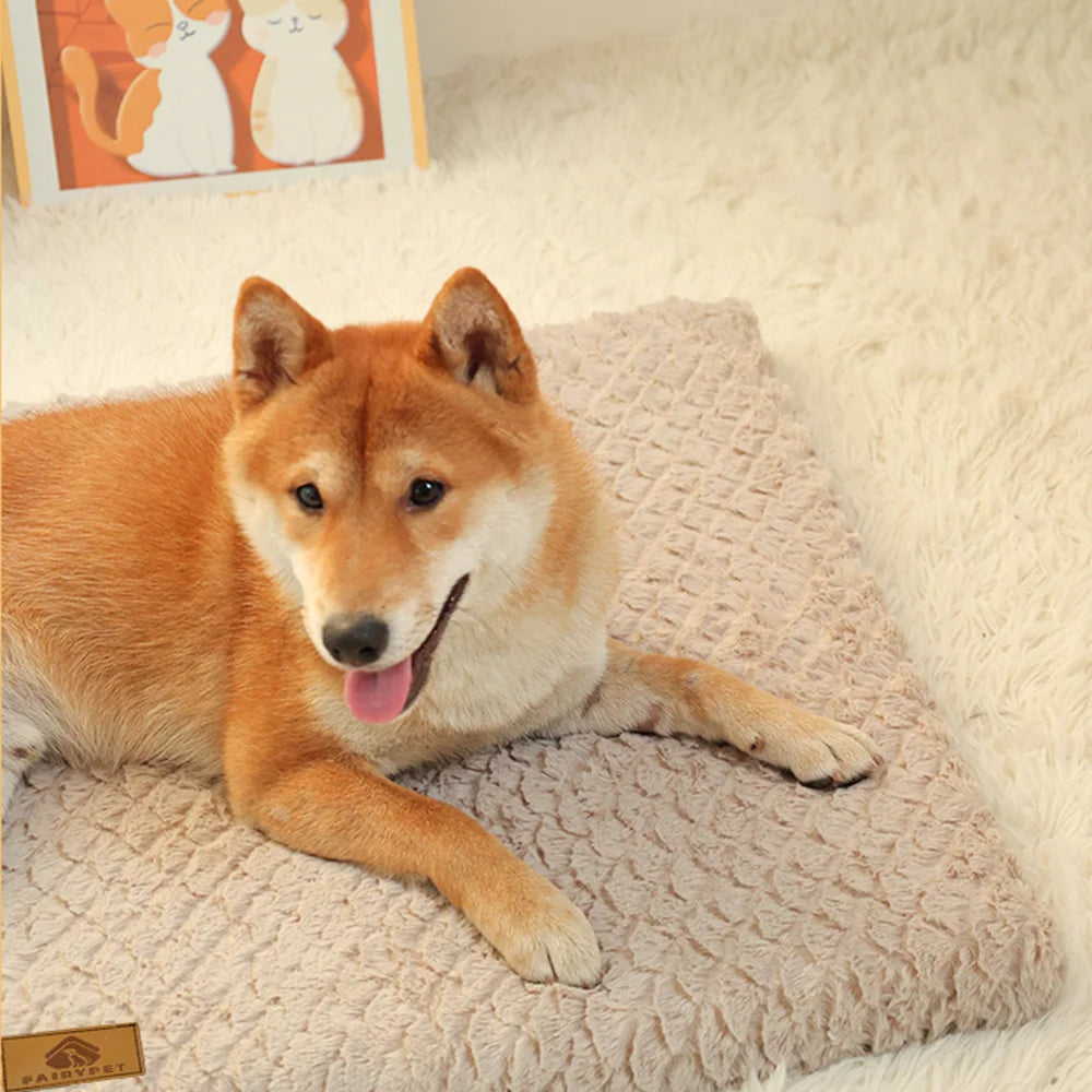 3D Foam Orthopedic Dog Bed