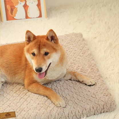 3D Foam Orthopedic Dog Bed
