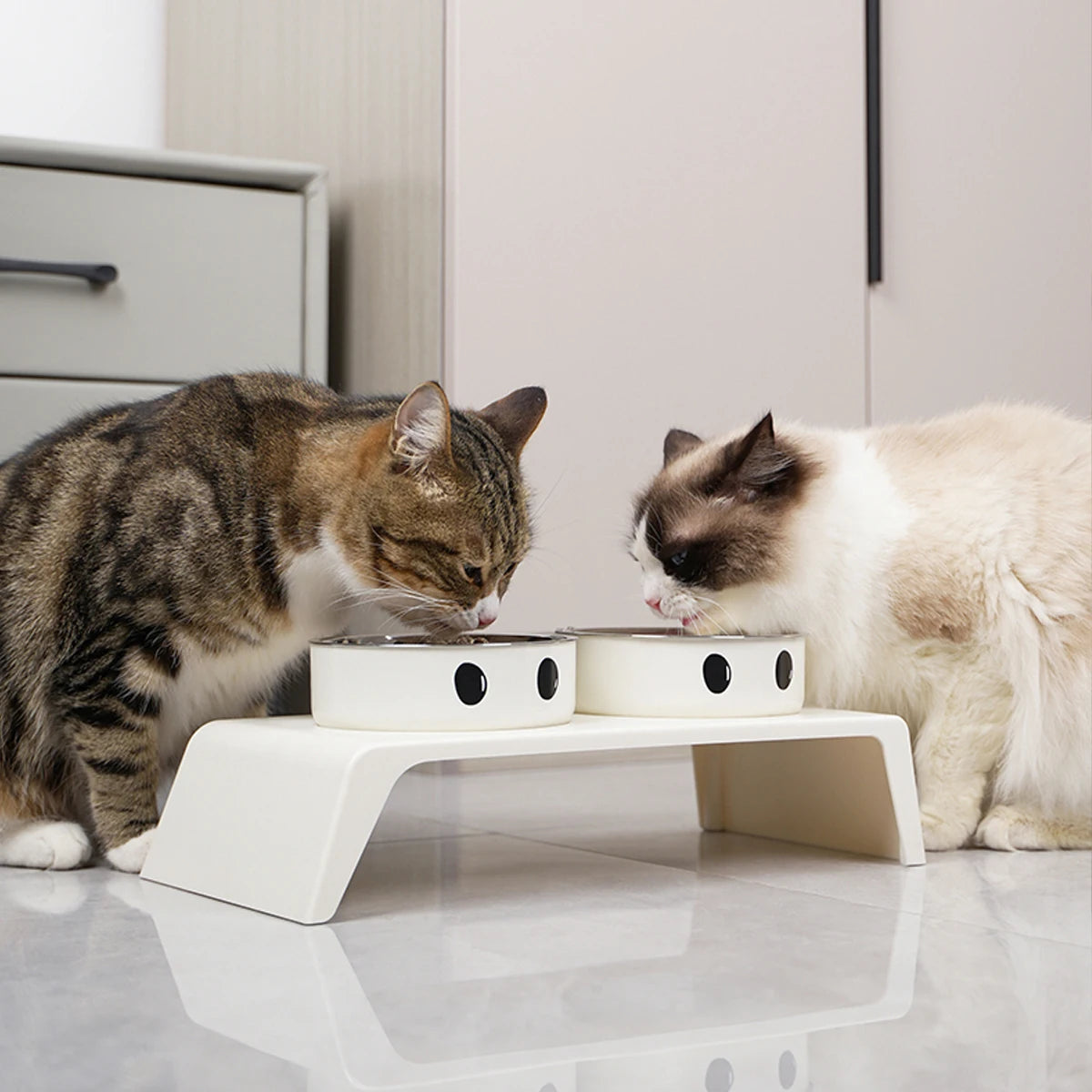 Raised Stand with Double Stainless Steel Bowls