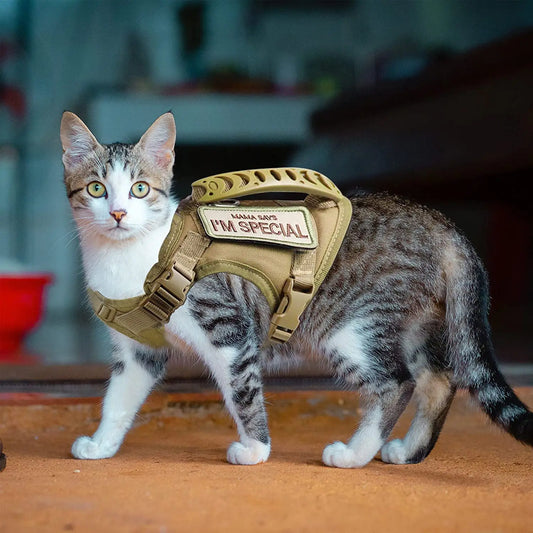 Tactical Cat Adjustable Pet Vest Harness