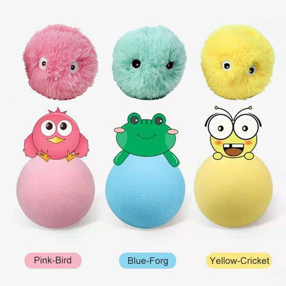 Electric Catnip Ball Training Toy