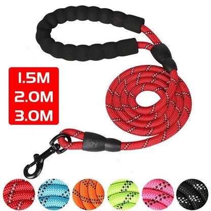 Reflective Dog Leash With Padded Handle