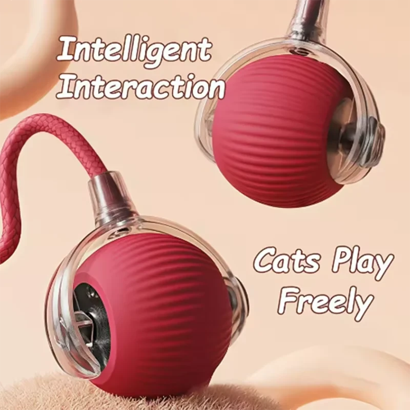 Automatically Teasing Cat Ball