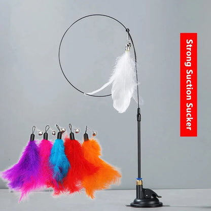 Cat Teaser Toy