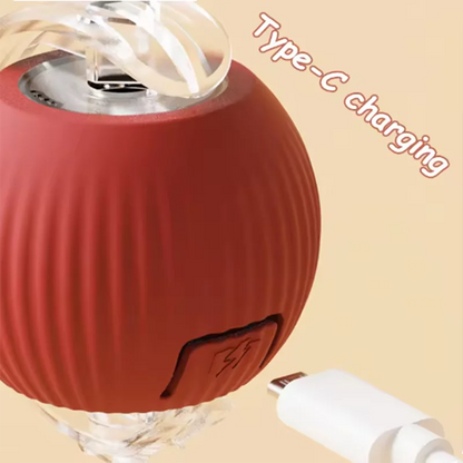 Automatically Teasing Cat Ball