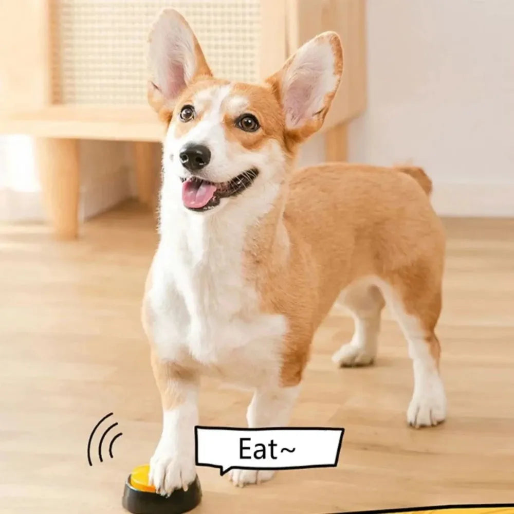 Communication Voice Recording Button for Pet Training Buzzer
