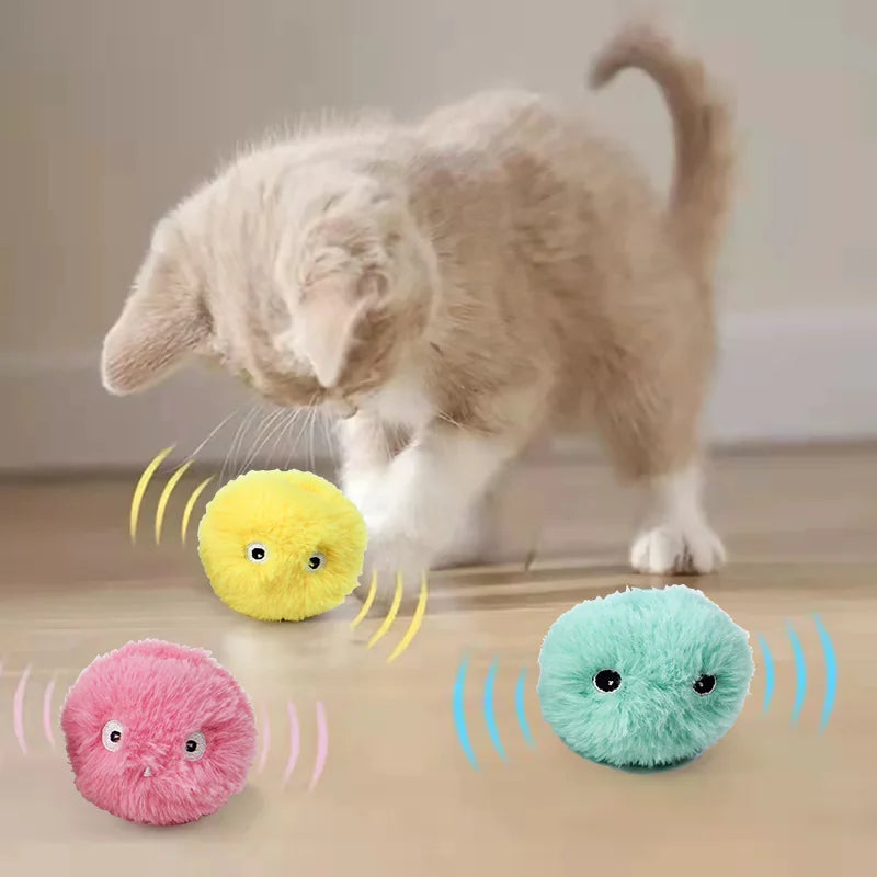 Electric Catnip Ball Training Toy