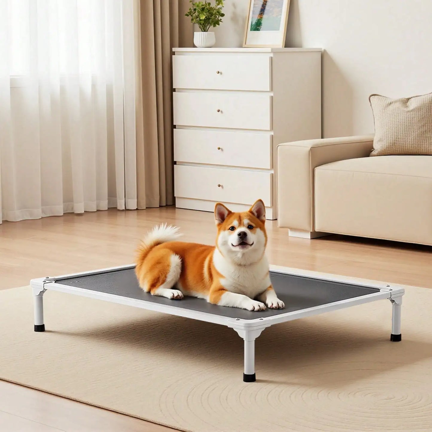 Elevated Dog Bed for Large Dogs