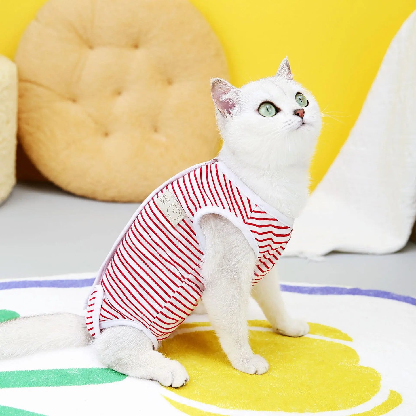 Striped Cat Sterilization Cat Suit
