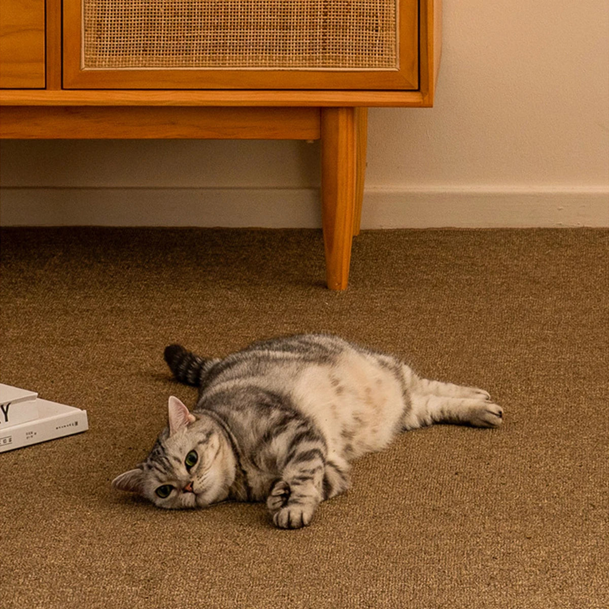 Large Cat Non-Slip Pet Scratching Bed Carpet Mat