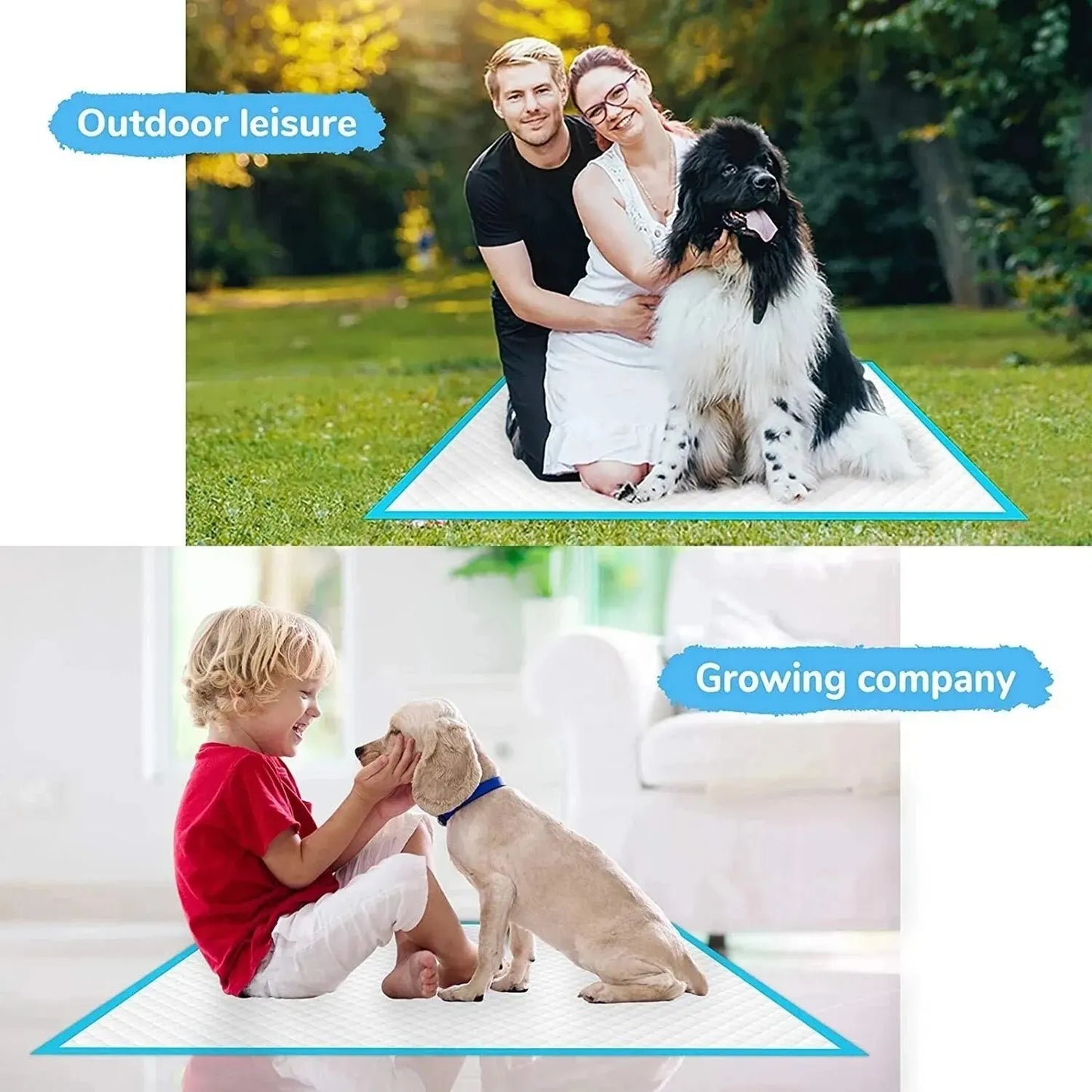 Super Absorbent Pet Diaper Pads