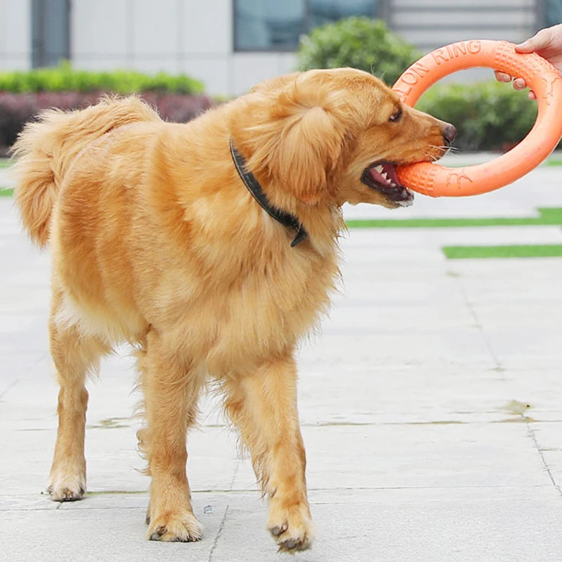 Pet Flying Ring Disk toys
