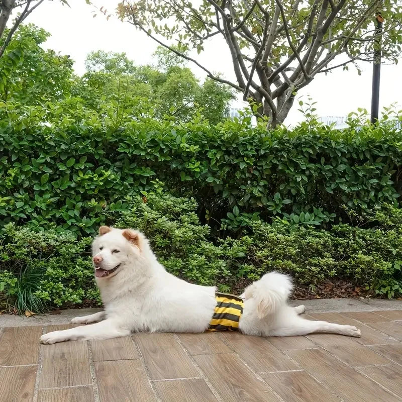 Washable Male Dog Diapers