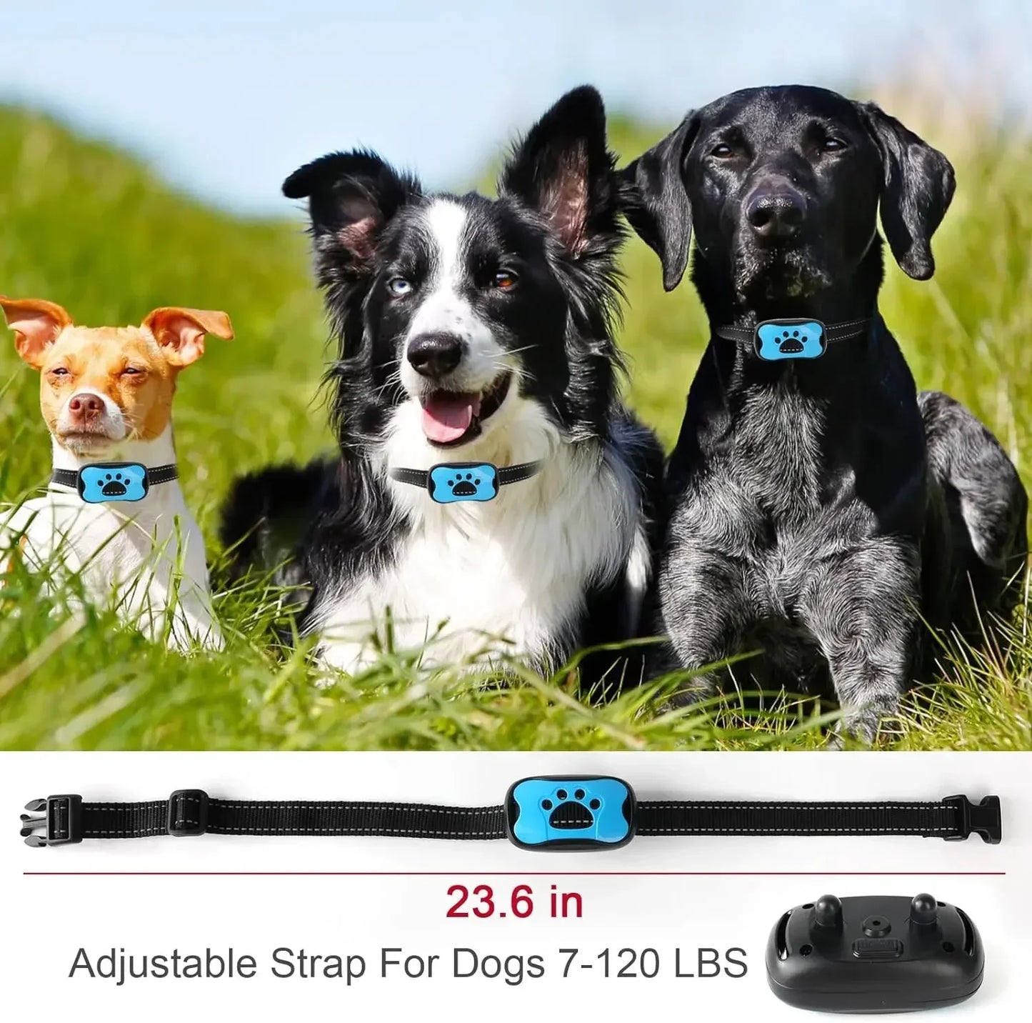 USB Rechargeable Dogs Training Anti-Bark Collar