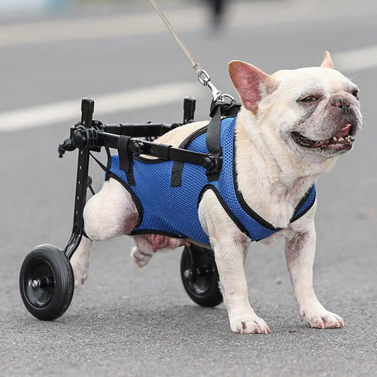 Adjustable Pet Rehabilitation Walking Wheelchair