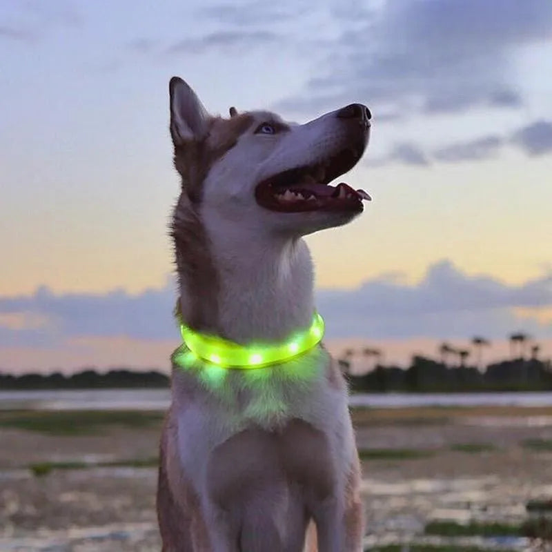 LED Luminous Dog Collar