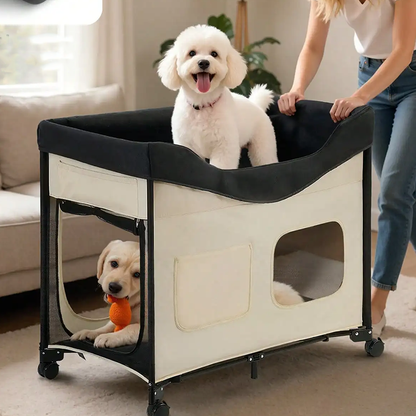 Elevated Dog Bed for Large Dogs