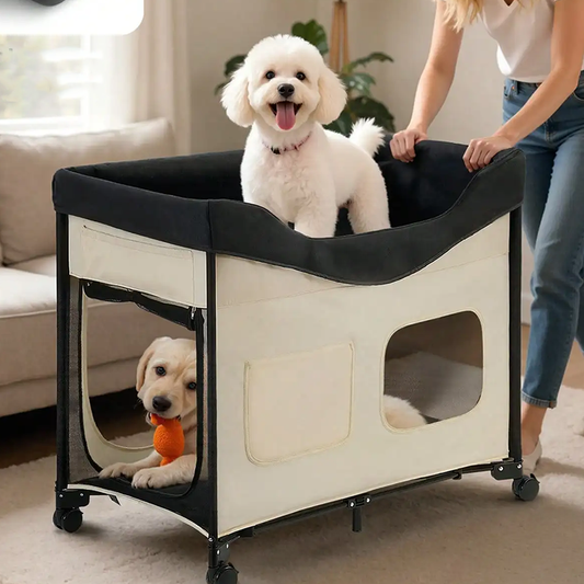 Elevated Dog Bed for Large Dogs