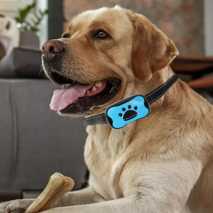 USB Rechargeable Dogs Training Anti-Bark Collar